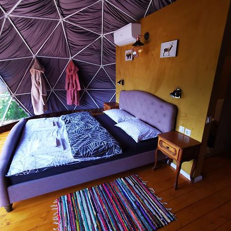 Glamping Zazen Hotel Drumu Carului Екстериор снимка