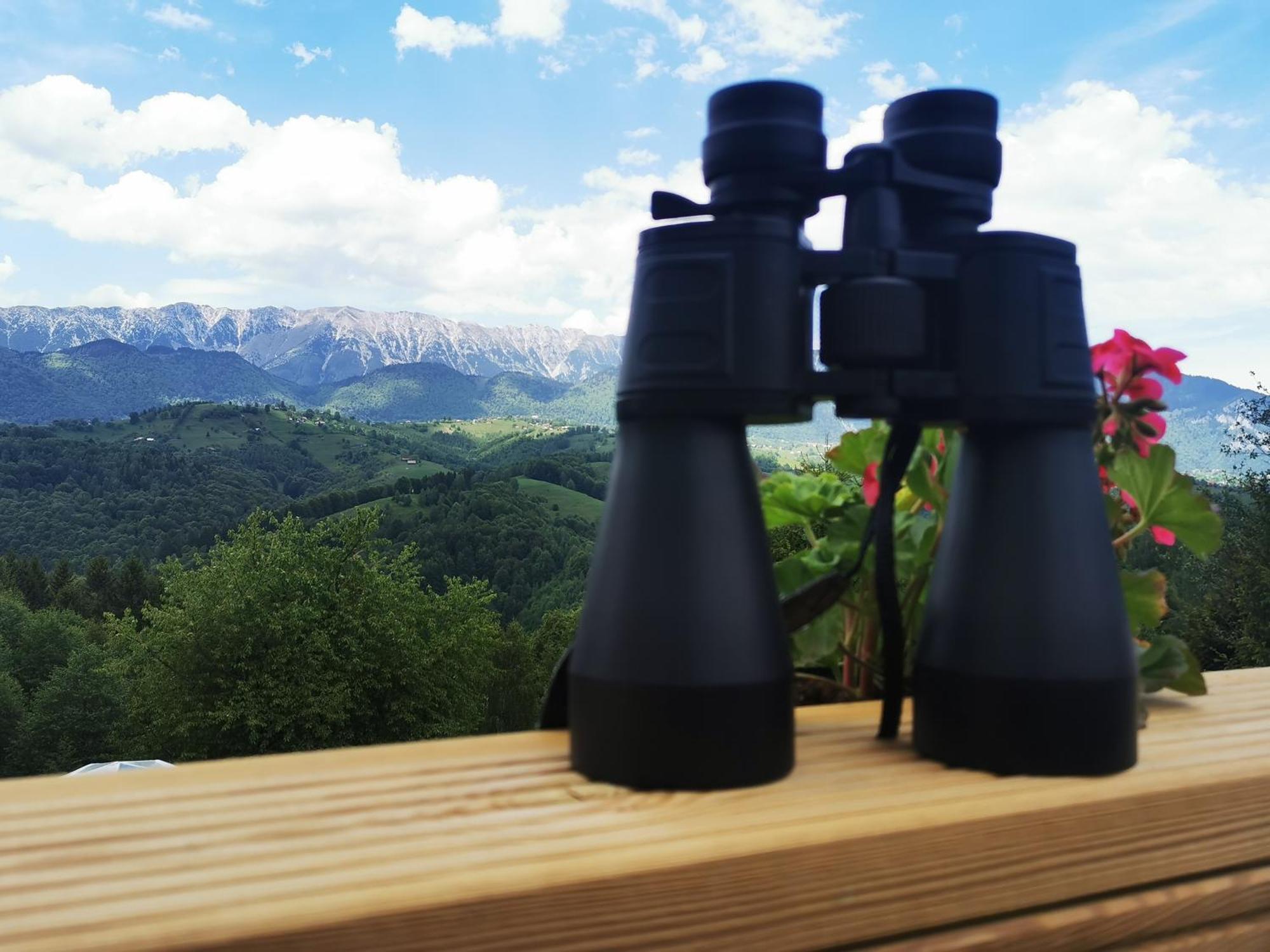 Glamping Zazen Hotel Drumu Carului Екстериор снимка