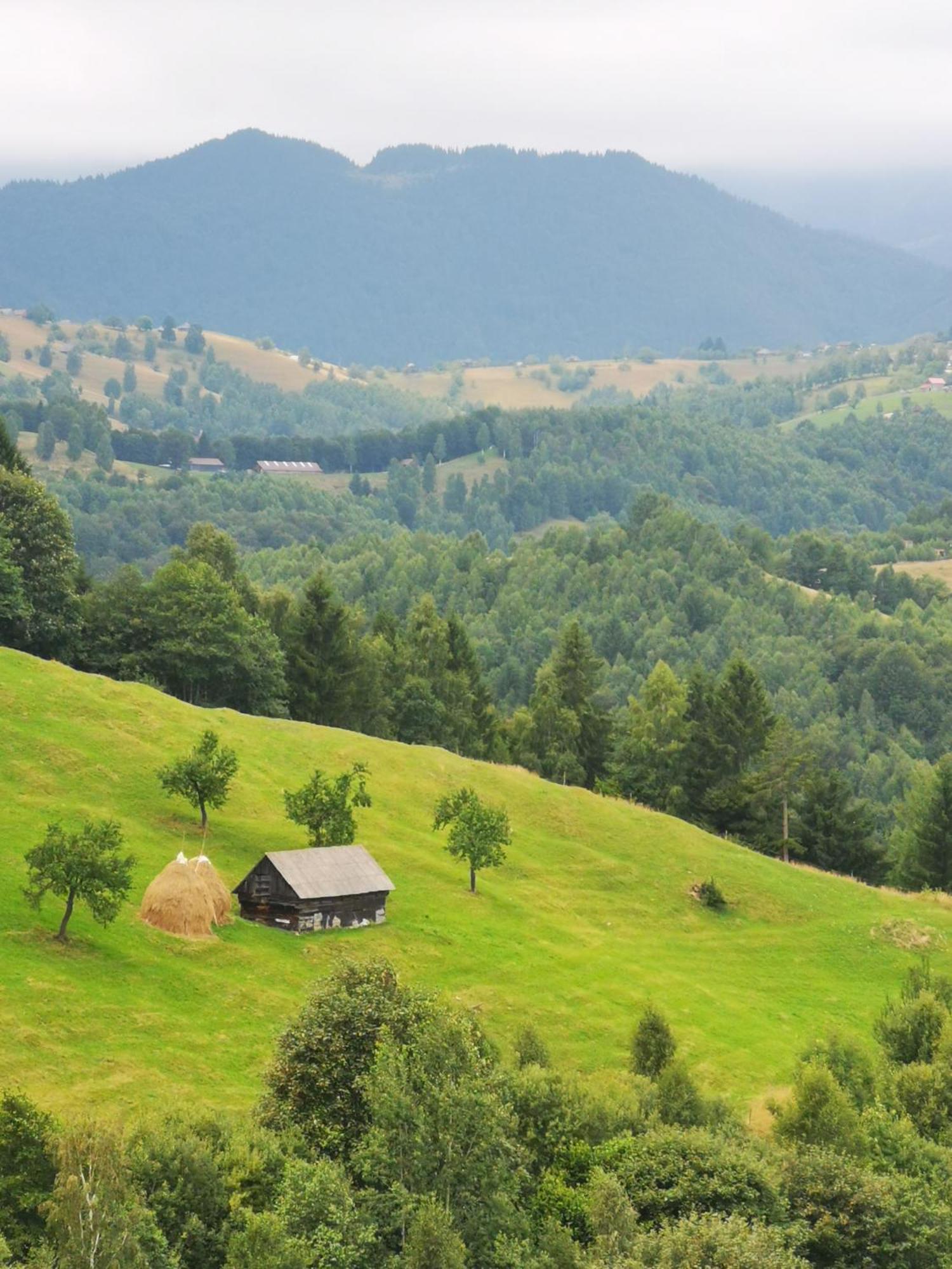 Glamping Zazen Hotel Drumu Carului Екстериор снимка