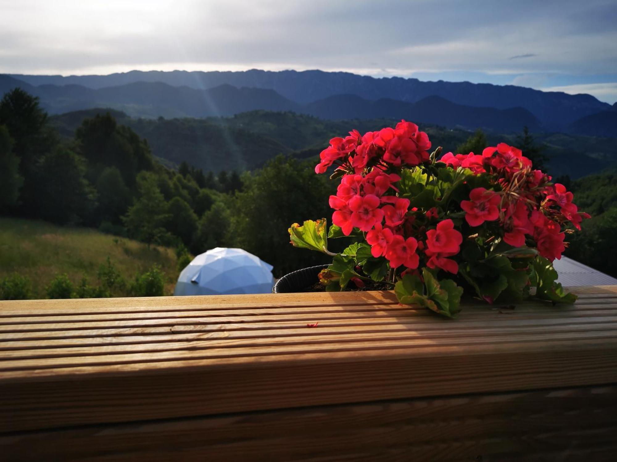 Glamping Zazen Hotel Drumu Carului Екстериор снимка